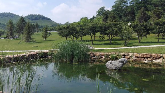 观陵山墓园选购指南:满足不同需求的实地解析