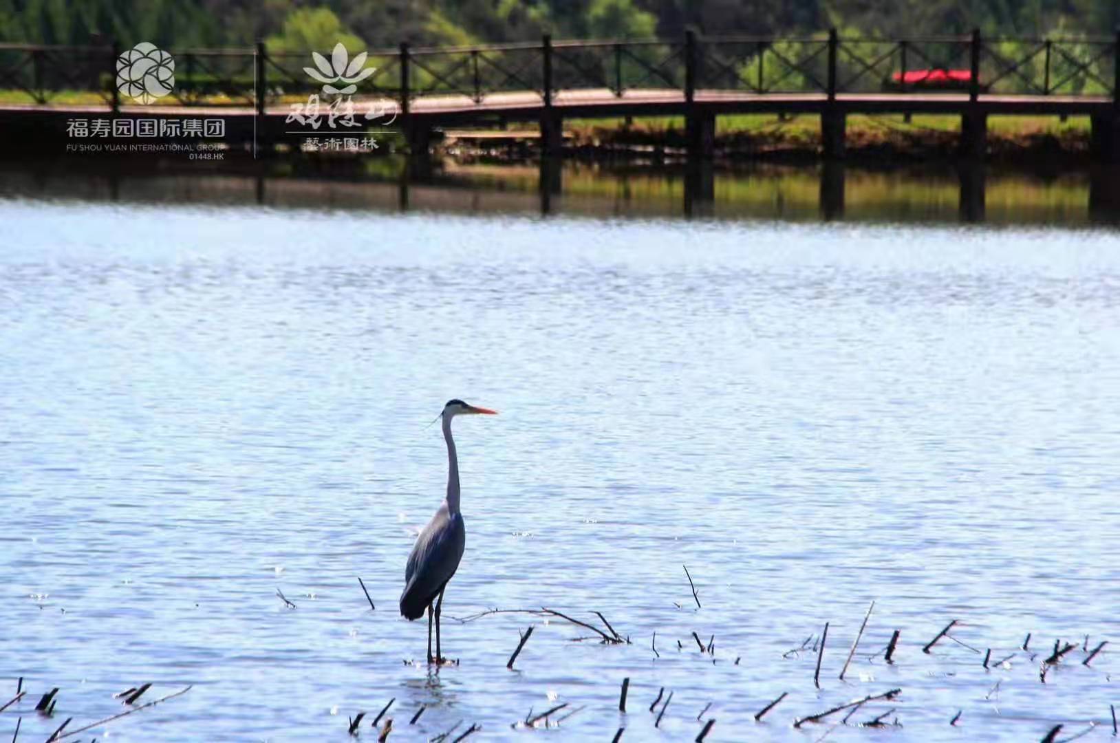 观陵山墓园选购指南:满足不同需求的实地解析